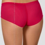 AXAMI V-6223 panties